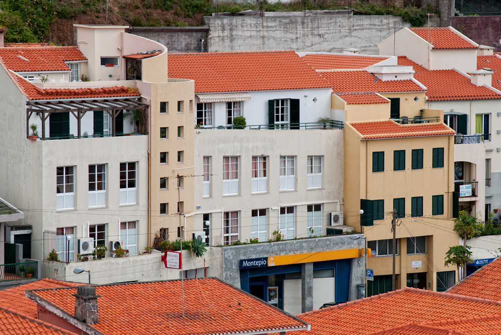 332_Madera_Camara de Lobos.jpg